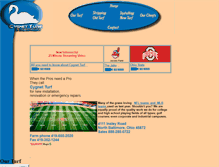 Tablet Screenshot of cygnetturf.com